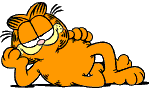 Garfield11